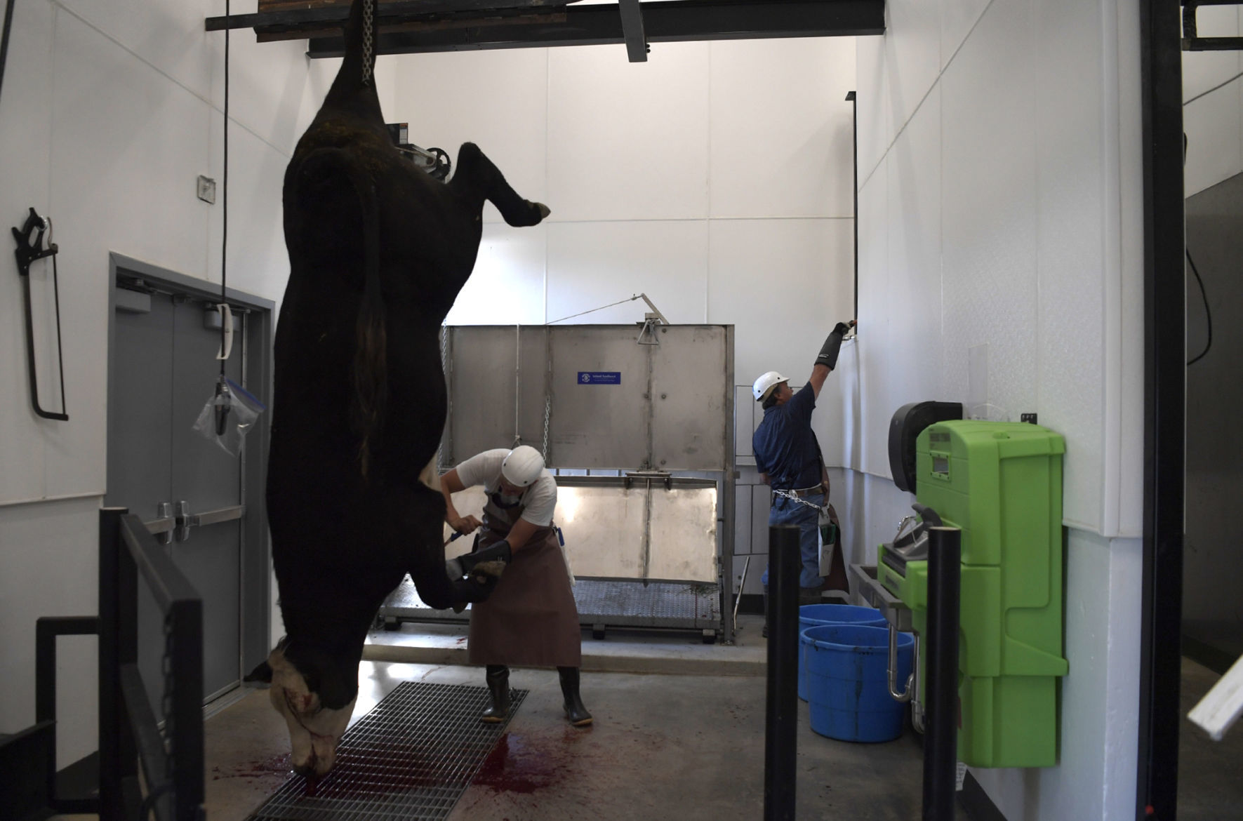 062319 meat lab-4-tm.jpg